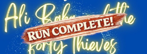 Ali Baba pantomime a roaring success